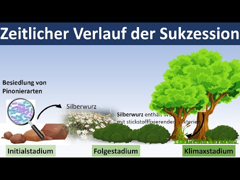 Succession [Ecosystem Development] - (Biology, Ecology, Advanced Level)