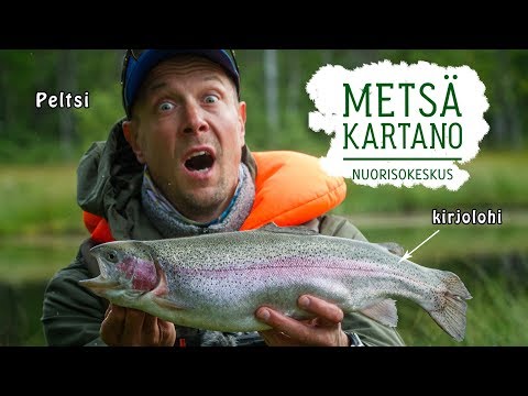 Näin kalastetaan kirjolohta