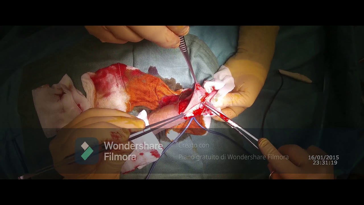 Pier Andrea Della Camera-88