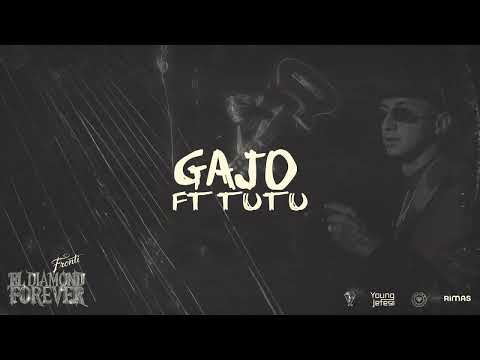 Miniatura de Gajo