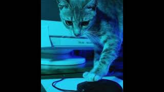 Tragedy Andy - Happy Valentine&#39;s Day (Outkast Cover)