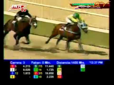 LA RINCONADA 3 CARRERA SABADO 29 DE NOVIEMBRE DEL 2014