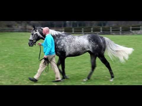 Reliable Man English