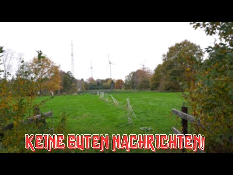 Nicht jeder Tag bringt gute Nachrichten – heute ist so einer!