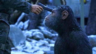 映画『猿の惑星：聖戦記(グレート・ウォー)』特別映像