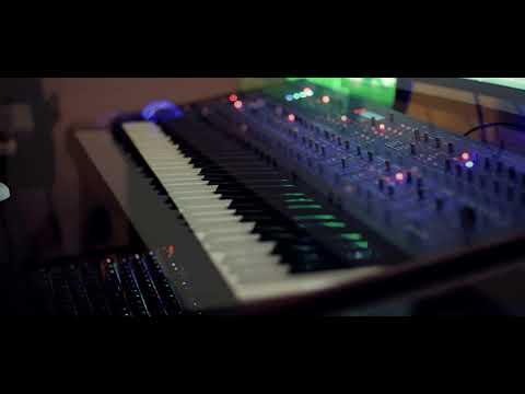 DSI Poly Evolver - a few patches