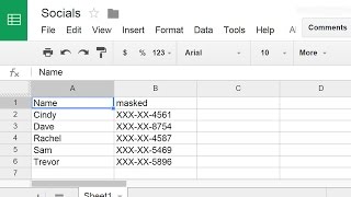 Mask SSNs in a Spreadsheet