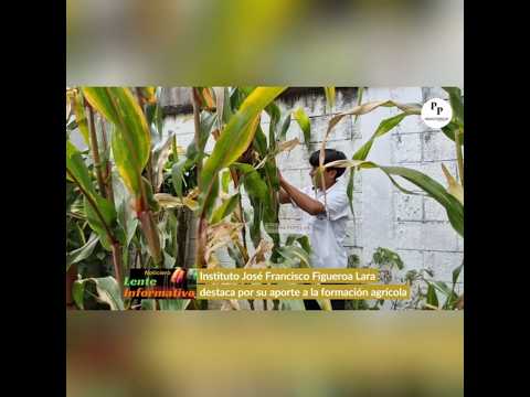 IEBC destaca por su aporte a la agricultura