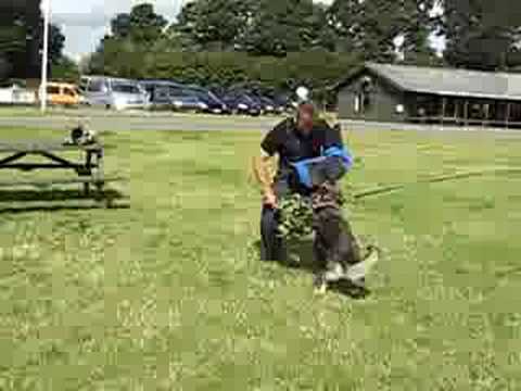 Jabina Ninja table work