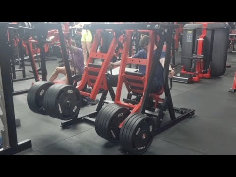 Spring Bulk Day 146-Legs