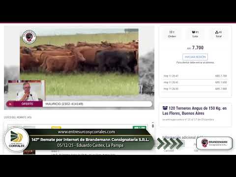 05-12-25 - 147º Remate por Internet de Brandemann Consignataria - Eduardo Castex, La Pampa