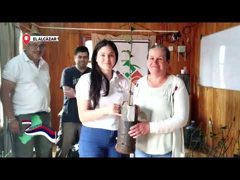 EL ALCAZAR SE ENTREGARON PLANTINES A PRODUCTORES