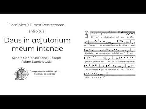 Deus in adjutorium meum intende - Dominica XII post Pentecosten (Introitus)