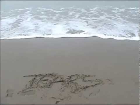 Stefan Biniak - Tears (ft. Stine Grove)