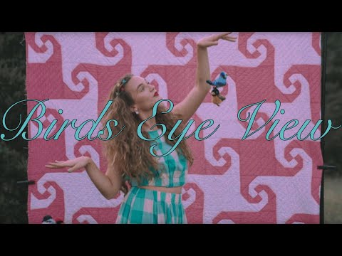 Thumbnail for Bird's Eye View video