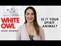 White Owl Secret Meaning And Symbolism