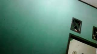 Download lagu Jamur janda janda di bawa umur mp3