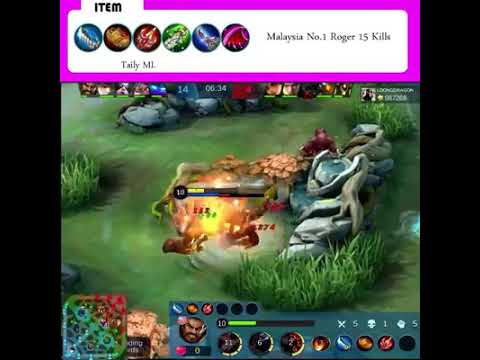 Malaysia No 1 Roger 15 Kills