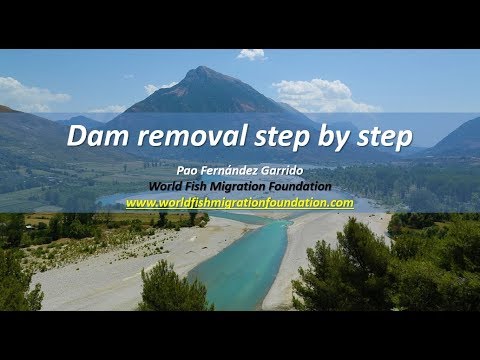 Restoring river continuity Webinar: Dam removal step by step - part I