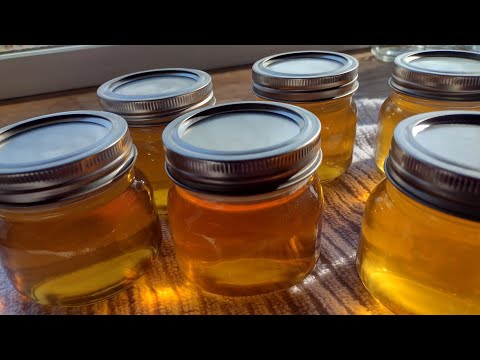 Poor man's honey - DANDELION JELLY recipe