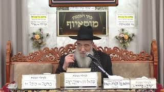 הרב יעקב שיכנזי  •  טהרת המשפחה (בית הכנסת מוסאיוף) - התמונה מוצגת ישירות מתוך אתר האינטרנט יוטיוב. זכויות היוצרים בתמונה שייכות ליוצרה. קישור קרדיט למקור התוכן נמצא בתוך דף הסרטון