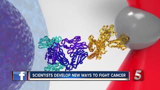 Cancer-Fighting T Cells Are Smarter, Stronger Than Experts Thought, Says Vanderbilt Scientist