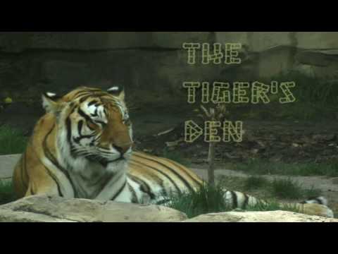 June 15th Power Trading Hour with David White on TFNN   2016