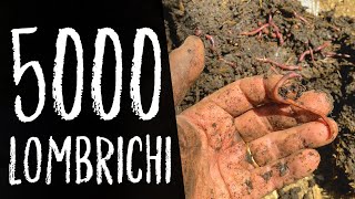 LOMBRICOMPOSTIERA FAI DA TE: lombrichi e compost autoprodotti