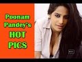Poonam Pandey S Hot Pictures TOI