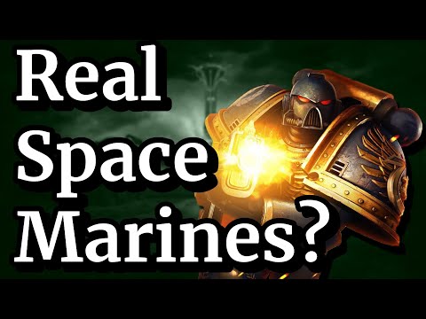 Could Space Marines EXIST? | DNA in 40k and Fallout Explained
