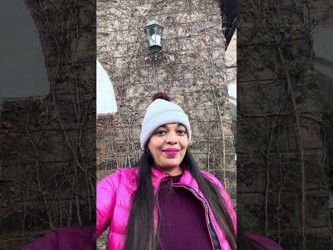 Nature's Lessons: Rest, Recuperate, and Await Spring in Challenging Times | Daily Mental Health Tips