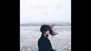 Surveyor - All I Hear is Noise