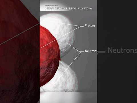How Small is an Atom #science #sciencefacts