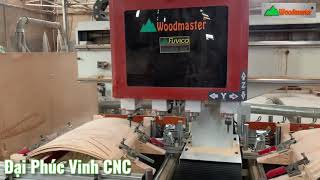 Mộng âm cnc 4 đầu Woodmaster có thể lập trình chạy biên dạng phức tạp