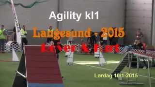 preview picture of video 'Dog Agility Competition - My Schapendoes Dog Rover - Langesund 2015'