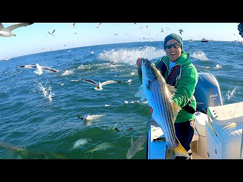 Striped Bass Fishing | Slow Pitch Jigging Setup To Catch Fish ANYWHERE
