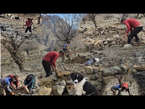 Nomadic daily life 🌄;  From the Mahyar and Nahid families to the construction of the sheep shelter 🐑
