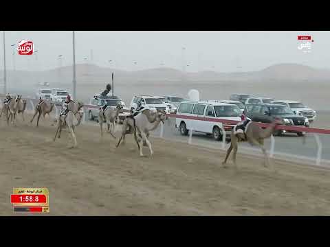 ش 5 (اشراق) لـ محمد غريب بن راشد مصبح الكتبي 4:40:00 ، مهرجان العين 2026/08/05 لقايا الروضة