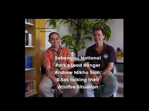 The Sebangau National Park's Perspective of their Wildfire Situation.