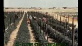 Intelligent farming methods no 2.mp4