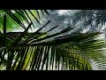 Mandrem Village Resort GOA