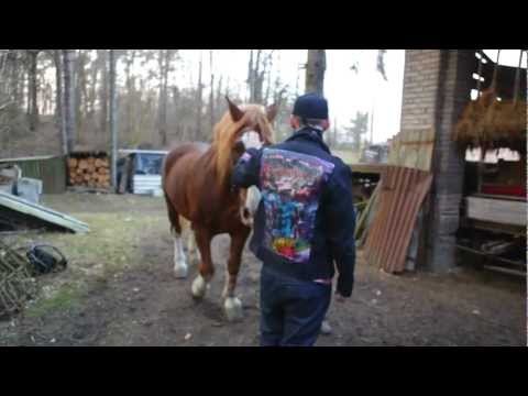 Drymansound ft. Hugo Toxxx - Hypnotic Bauch (official teaser)