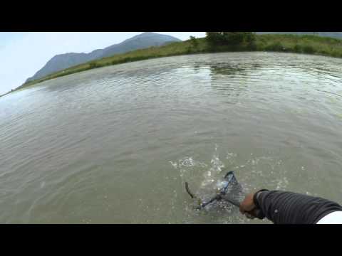 BMホッグ7インチでデカバス