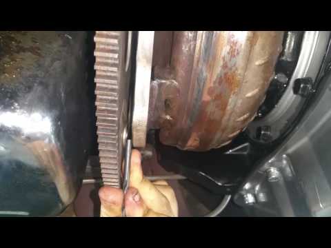 Animal Performance Torque converter clearance