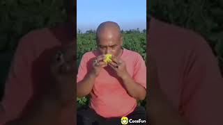 Download lagu Pak ndul mp3