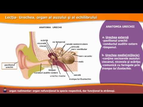 Tratamentul artrozei bolii articulare