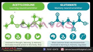 Nomenclature of Amines, Physical properties & Nitrogen Inversion | JEE + NEET