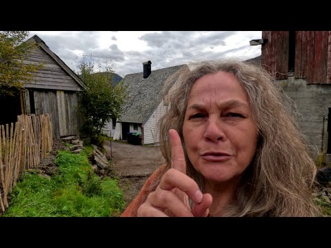 Echtzeit: 👩‍🌾Pferdemist🐴, Petersilie & Wetterumschwung