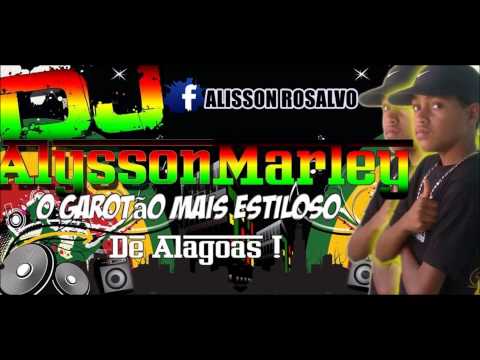 AMOR VS 2015 DJ ALISSON MARLEY