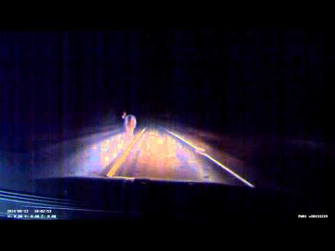 Dashcam - close call with horse in fog